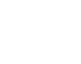 Alternative Hair Show